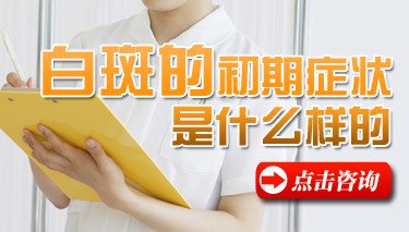 °×ñ°·çÓÐÄÄÐ©ÌØµã