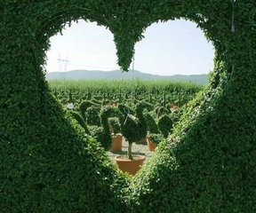 白癜风治疗时心理调节怎么注意