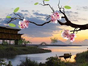 大家注意喽 旅游回来后可能会长白斑哦