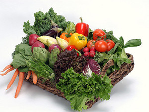 冬季白斑患者护理工作应做到几点