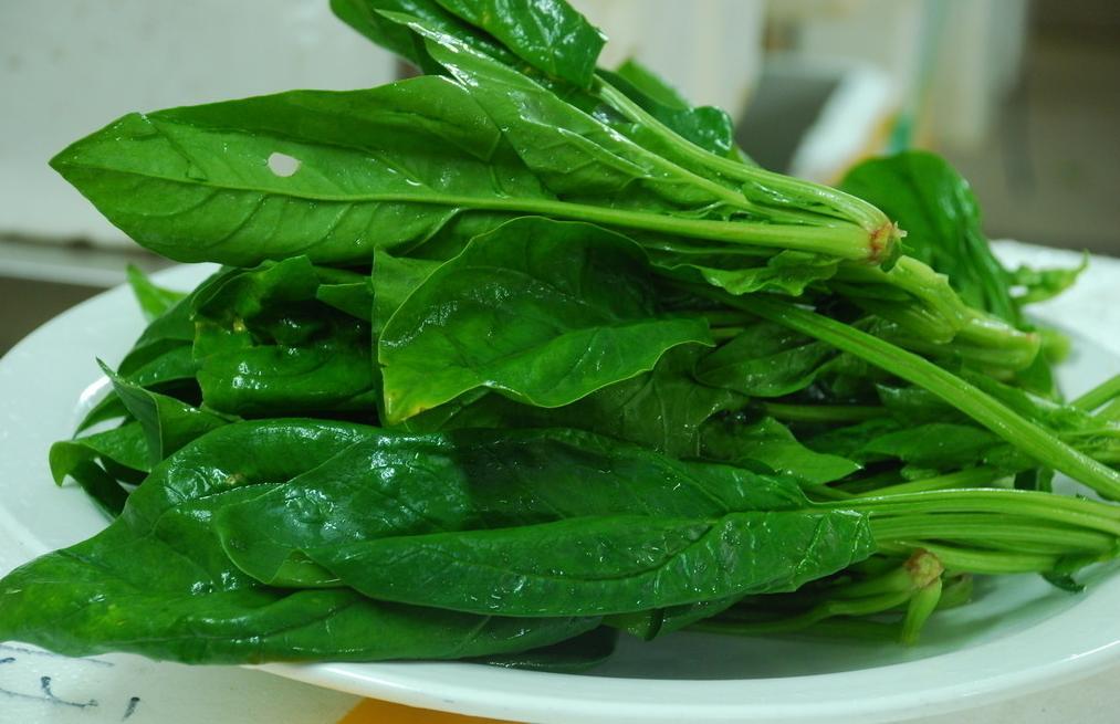 菠菜对白癜风的不良影响