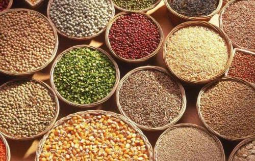 dataUrlImage (3).jpg